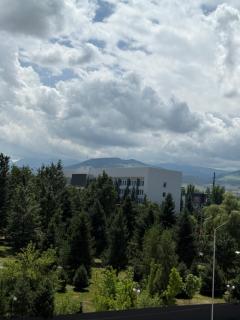 Apartment in the Karakol heart - 9