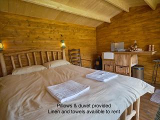 Simple Basketmakers Hut Cabin for Two - 9