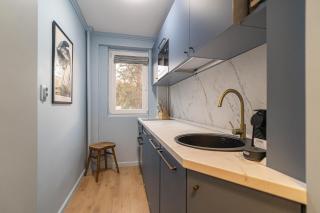Veronica Micle- Quiet and Cozy near Piața Victoriei - 2