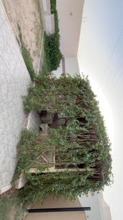 شاليه - 8
