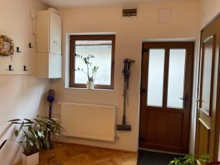 Viktória central apartman - 8