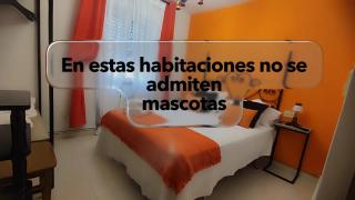 Casa BRAIS - 9
