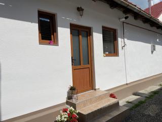 Viktória central apartman - 5
