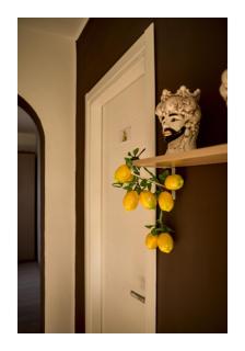 Ficodindia home - 6