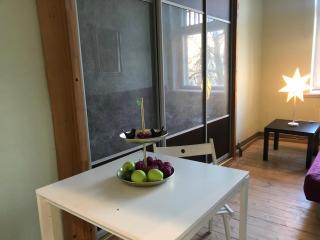 Cesis Old Town Apartment - 4