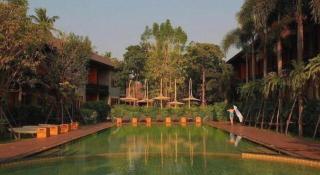 The Buffalo Amphawa - 1