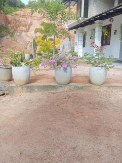 Villa Oriana - 8