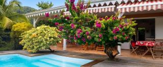 Villa ensoleillée aux Anses-d'Arlet avec piscine privée - Les Anses-d'Arlets - 1