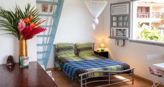 Appartement cosy avec vue sur le jardin à Sainte Anne, 30 m² - 9