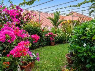 Appartement cosy avec vue sur le jardin à Sainte Anne, 30 m² - 1