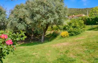 Villa spacieuse avec piscine à Coti-Chiavari - 3