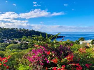 Maison vue sur mer à Vieux-Habitants + Terrasse - 5
