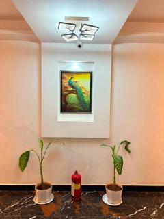StarNexa Residency - 3