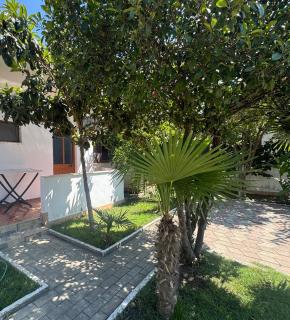 Kodra Premium Homes - 1