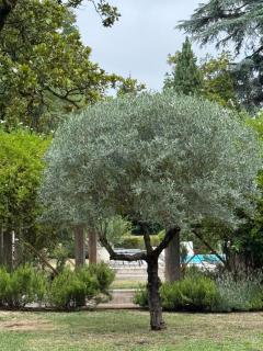 Maison M on the Dordogne Luxurious accommodation - 6