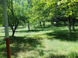 Gurbanefendi forest cottages - 3