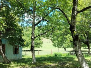 Gurbanefendi forest cottages - 1