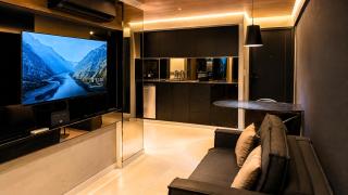 Holandas Prime Black - 0