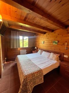 PANORAMIC - Peu del Riu Hut 6163 - Vall d'Incles - Soldeu - 6