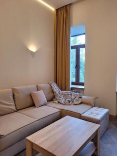 Renovated, Classic, high ceiling apartment in the historic center of Odesa - 8