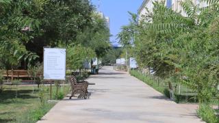 Urgench State University - 3