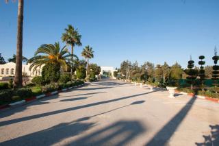 Sol Palmeras Beach - Family Hotel - El Ahmar - 9