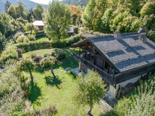 Chalet typique à Chamonix avec parking et wifi, proche centre et pistes - FR-1-343-182 - 3