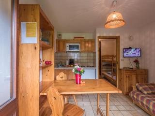 Studio cosy à Chamonix - Animaux admis, parking privé - FR-1-517-21 - 3