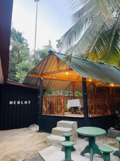Merlot - 8