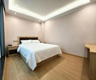 GreenTree Alliance Hotel Urumqi Airport Branch - 2