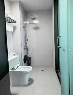 GreenTree Alliance Hotel Urumqi Airport Branch - 1
