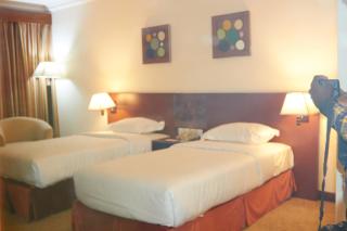 Hotel LEDGER PLAZA BANGUI - 8