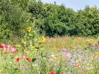 Holiday Home Richard - 4km from the sea by Interhome - Brovst - 8