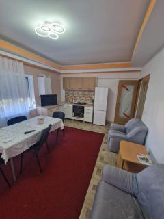 Apartament in vila - 7