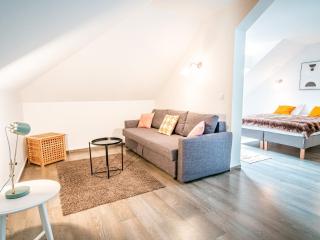 Magnifique appartement centre-ville - Animaux admis, WiFi - FR-1-517-37 - 1