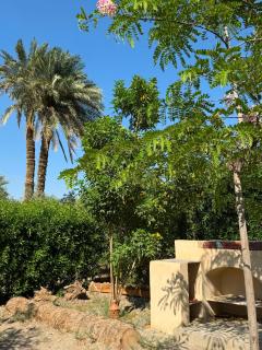 Nature house - 6