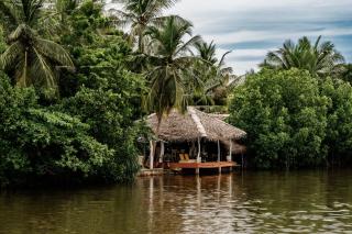 Ginger Harmony Tangalle Lagoon View - 5