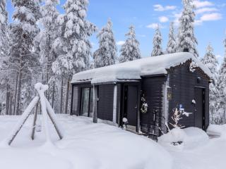 Holiday Home Visit pyhä cabins h by Interhome - 9