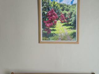 Appartement climatisé avec vue sur le lagon - 2 pers. - FR-1-786-101 - 4