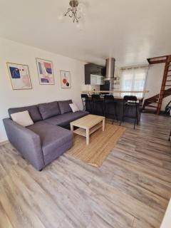 Duplex 40m2 cocooning cœur de ville avec parking - 0