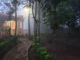 The Cabin in the Woods - 0