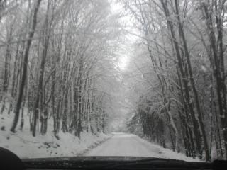 Sebesvi­z Panzió - 7