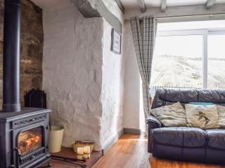 Blaen Y Cwm - 4
