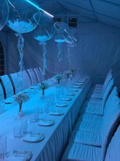 Novus Home - 3