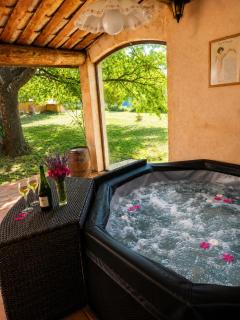Mas provençal - Spa privatif - Jardin - 4