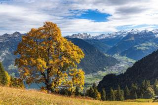 Mountains and lake, quiet, peaceful nature, in Seelisberg near Lucerne - 7