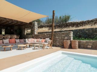 Villa Yasemin - Mykonos Paradise - Views - Pool - Large Garden - 4