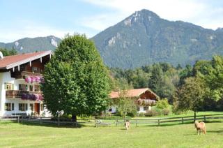 Donauerhof - 9