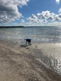 Hausi - at Følle beach - 8