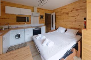 Studio in Auron 50 meters from the shuttle stop - 4